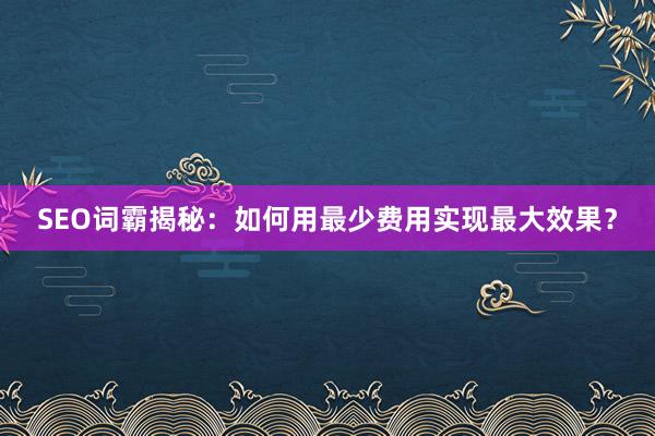 SEO词霸揭秘：如何用最少费用实现最大效果？