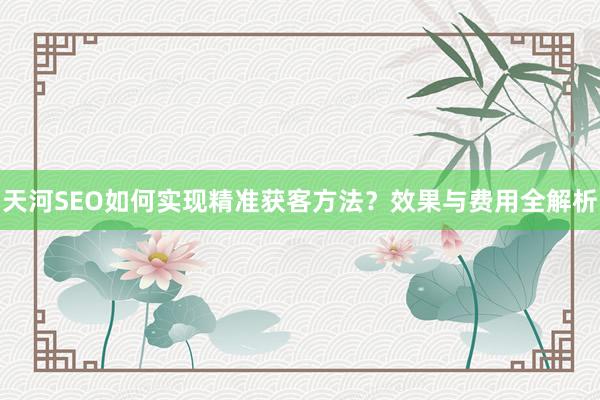 天河SEO如何实现精准获客方法？效果与费用全解析