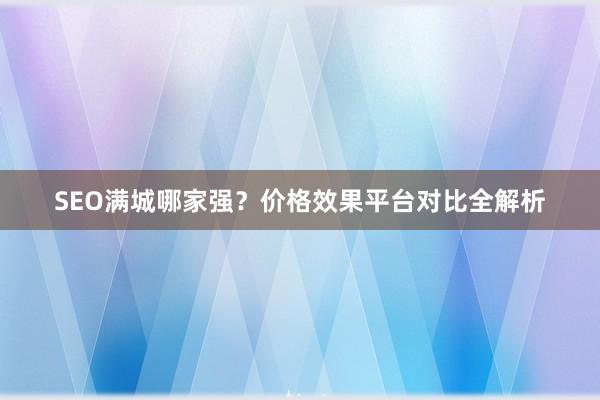 SEO满城哪家强？价格效果平台对比全解析