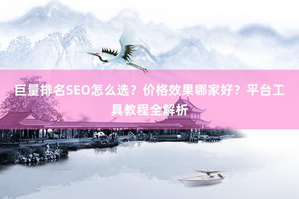 巨量排名SEO怎么选？价格效果哪家好？平台工具教程全解析