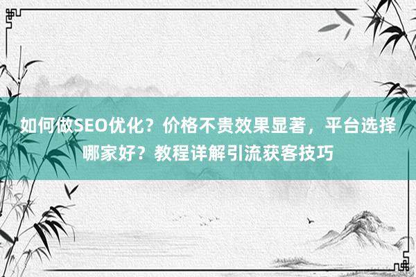 如何做SEO优化？价格不贵效果显著，平台选择哪家好？教程详解引流获客技巧