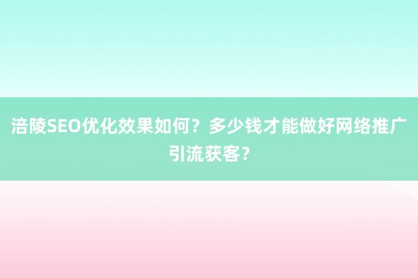 涪陵SEO优化效果如何？多少钱才能做好网络推广引流获客？