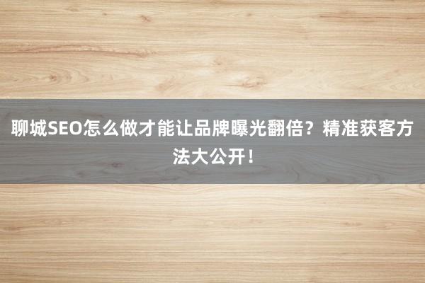 聊城SEO怎么做才能让品牌曝光翻倍？精准获客方法大公开！