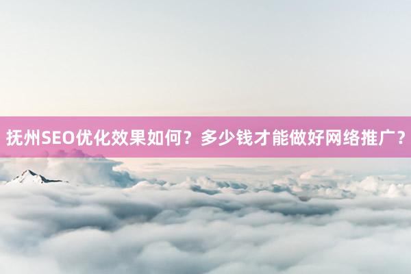 抚州SEO优化效果如何？多少钱才能做好网络推广？