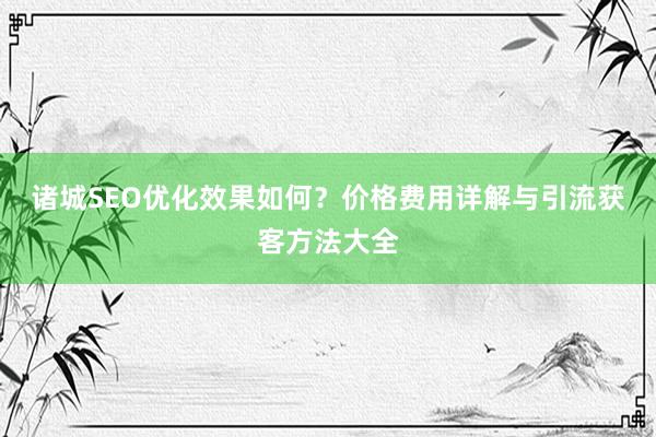 诸城SEO优化效果如何？价格费用详解与引流获客方法大全