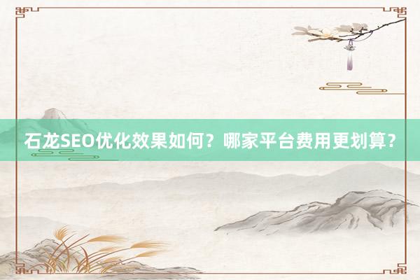 石龙SEO优化效果如何？哪家平台费用更划算？