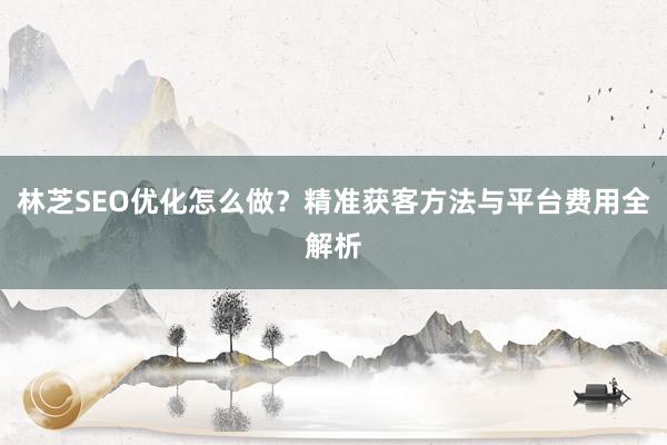 林芝SEO优化怎么做？精准获客方法与平台费用全解析