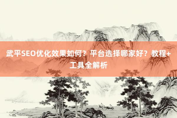 武平SEO优化效果如何？平台选择哪家好？教程+工具全解析
