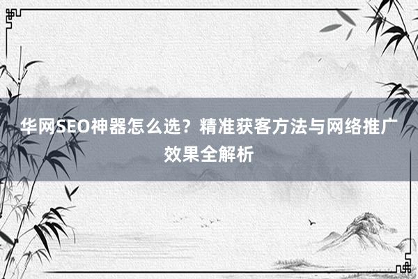 华网SEO神器怎么选？精准获客方法与网络推广效果全解析