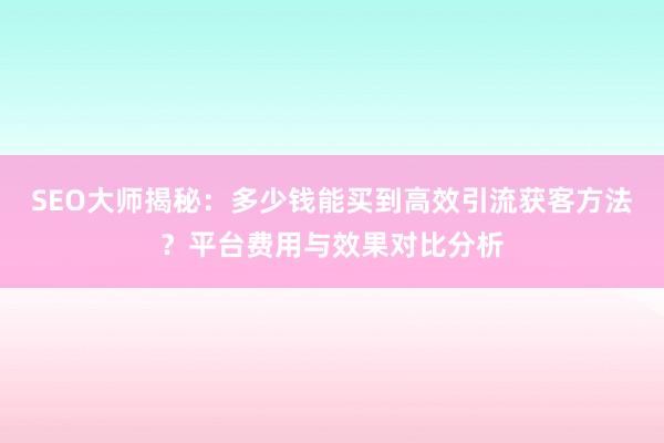 SEO大师揭秘：多少钱能买到高效引流获客方法？平台费用与效果对比分析