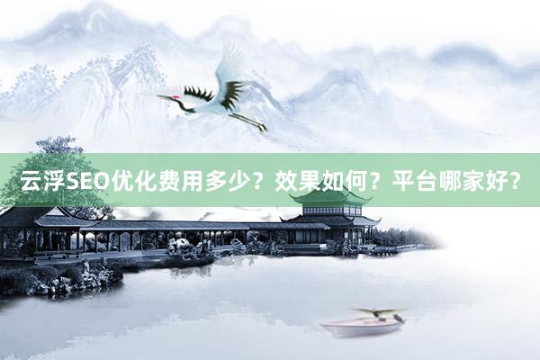 云浮SEO优化费用多少？效果如何？平台哪家好？
