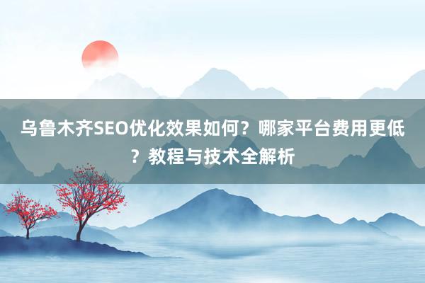 乌鲁木齐SEO优化效果如何？哪家平台费用更低？教程与技术全解析