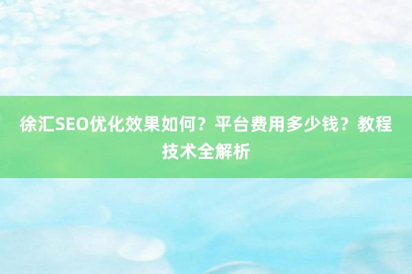 徐汇SEO优化效果如何？平台费用多少钱？教程技术全解析