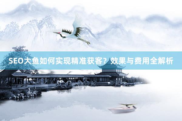 SEO大鱼如何实现精准获客？效果与费用全解析