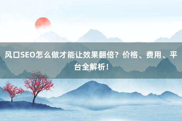 风口SEO怎么做才能让效果翻倍？价格、费用、平台全解析！