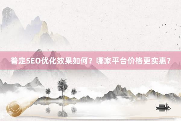 普定SEO优化效果如何？哪家平台价格更实惠？
