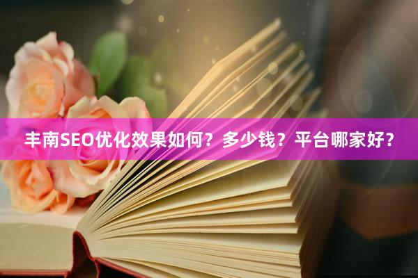 丰南SEO优化效果如何？多少钱？平台哪家好？