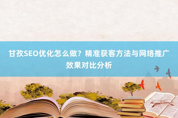 甘孜SEO优化怎么做？精准获客方法与网络推广效果对比分析