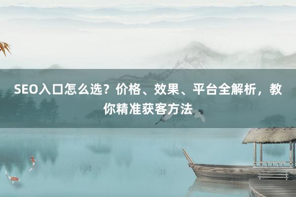 SEO入口怎么选？价格、效果、平台全解析，教你精准获客方法