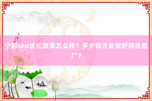 宁阳seo优化效果怎么样？多少钱才能做好网络推广？