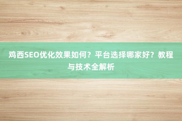 鸡西SEO优化效果如何？平台选择哪家好？教程与技术全解析