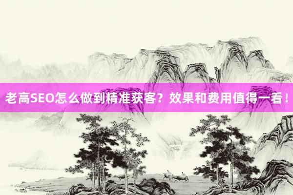 老高SEO怎么做到精准获客？效果和费用值得一看！