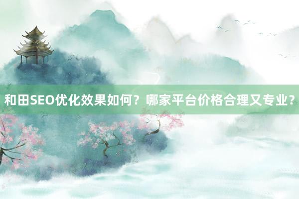 和田SEO优化效果如何？哪家平台价格合理又专业？