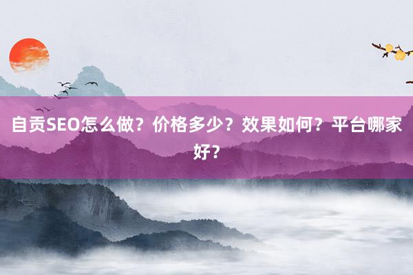 自贡SEO怎么做？价格多少？效果如何？平台哪家好？