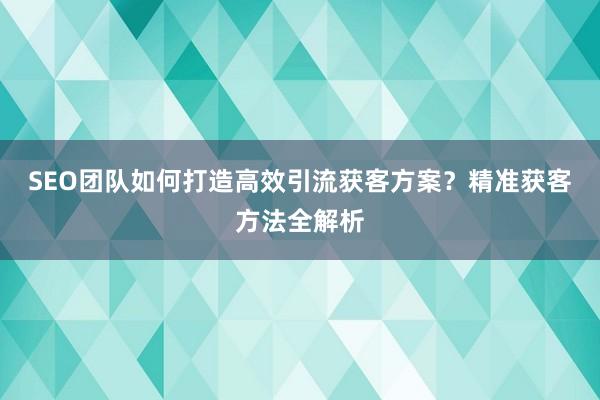 SEO团队如何打造高效引流获客方案？精准获客方法全解析