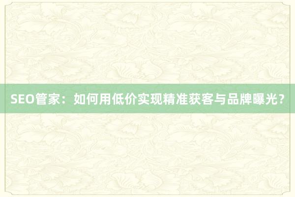 SEO管家：如何用低价实现精准获客与品牌曝光？