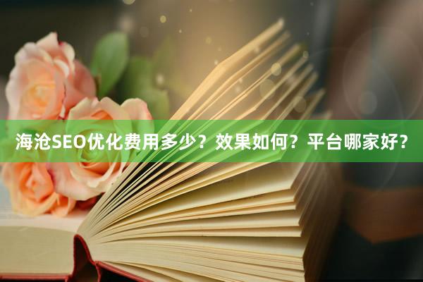 海沧SEO优化费用多少？效果如何？平台哪家好？
