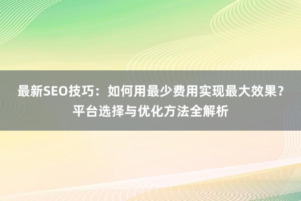 最新SEO技巧：如何用最少费用实现最大效果？平台选择与优化方法全解析