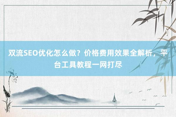 双流SEO优化怎么做？价格费用效果全解析，平台工具教程一网打尽