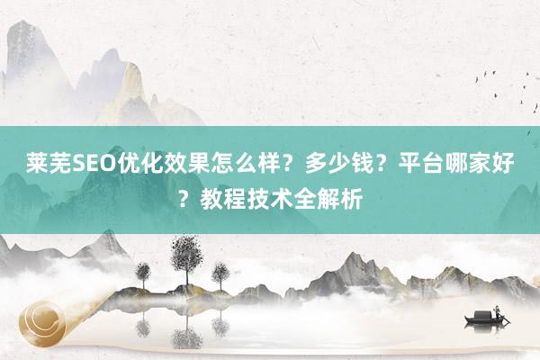莱芜SEO优化效果怎么样？多少钱？平台哪家好？教程技术全解析