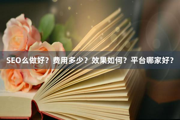 SEO么做好？费用多少？效果如何？平台哪家好？
