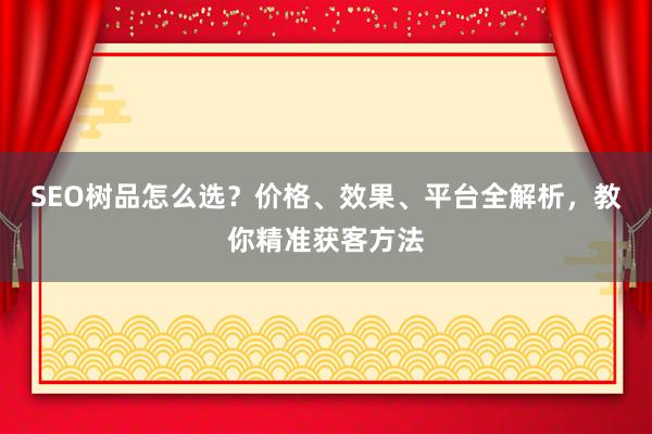SEO树品怎么选？价格、效果、平台全解析，教你精准获客方法