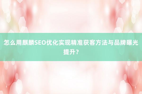 怎么用麒麟SEO优化实现精准获客方法与品牌曝光提升？