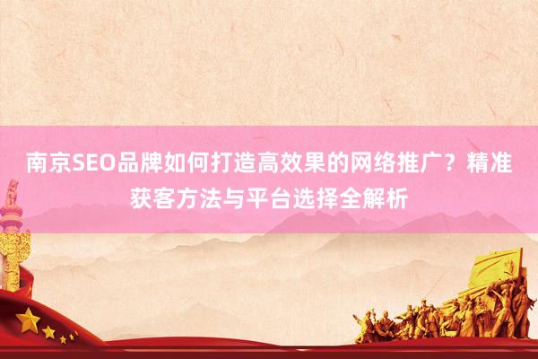 南京SEO品牌如何打造高效果的网络推广？精准获客方法与平台选择全解析