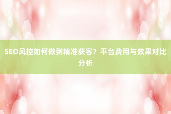 SEO风控如何做到精准获客？平台费用与效果对比分析