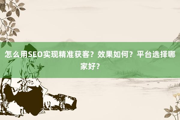 怎么用SEO实现精准获客？效果如何？平台选择哪家好？