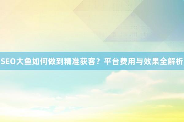 SEO大鱼如何做到精准获客？平台费用与效果全解析