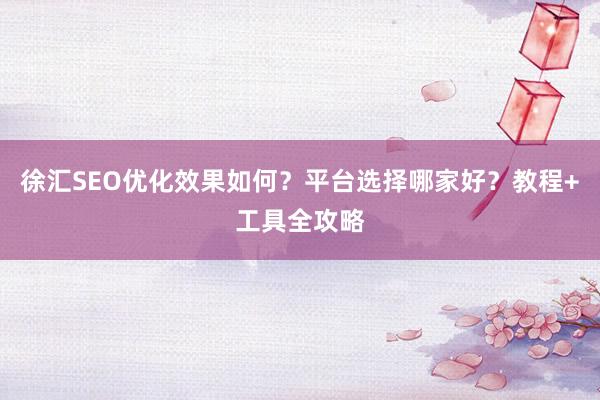 徐汇SEO优化效果如何？平台选择哪家好？教程+工具全攻略