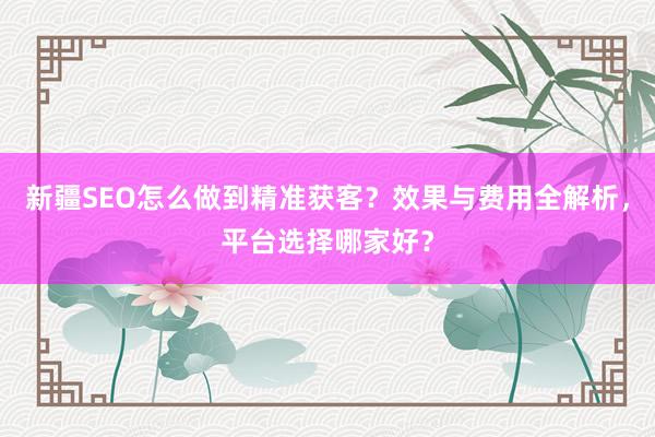 新疆SEO怎么做到精准获客？效果与费用全解析，平台选择哪家好？