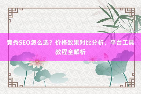 竞秀SEO怎么选？价格效果对比分析，平台工具教程全解析