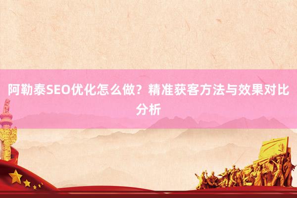 阿勒泰SEO优化怎么做？精准获客方法与效果对比分析