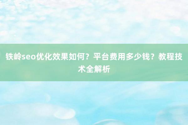 铁岭seo优化效果如何？平台费用多少钱？教程技术全解析