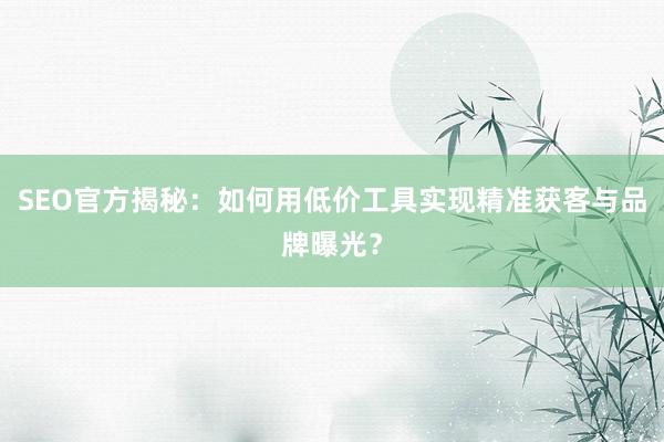 SEO官方揭秘：如何用低价工具实现精准获客与品牌曝光？