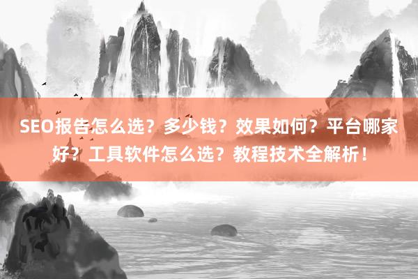 SEO报告怎么选？多少钱？效果如何？平台哪家好？工具软件怎么选？教程技术全解析！