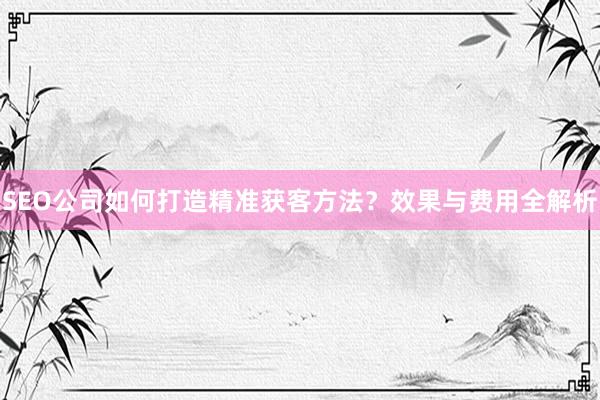 SEO公司如何打造精准获客方法？效果与费用全解析