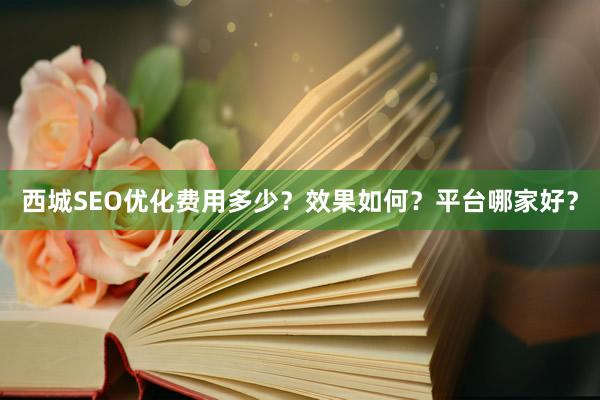 西城SEO优化费用多少？效果如何？平台哪家好？